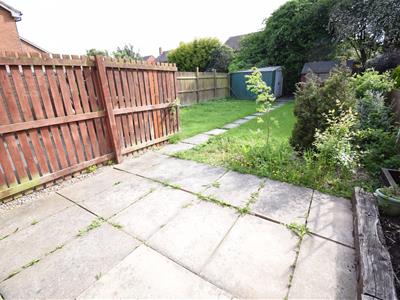 Picture 11